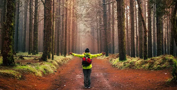 what-are-examples-of-wellness-activities-mid-content-7